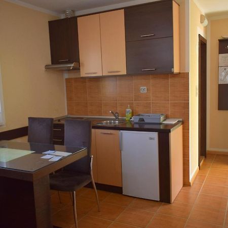 Apartmani Radoicic Josanicka Banja Екстериор снимка
