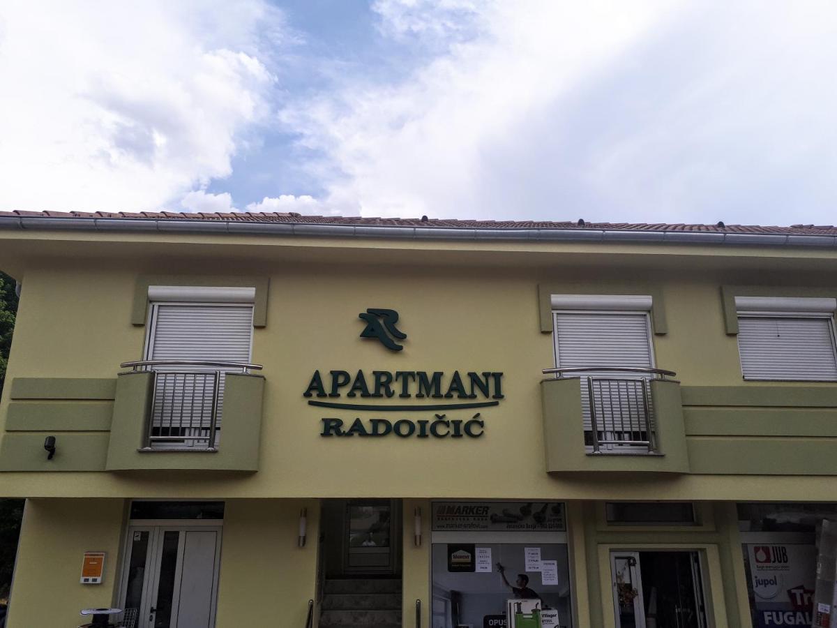 Apartmani Radoicic Josanicka Banja Екстериор снимка