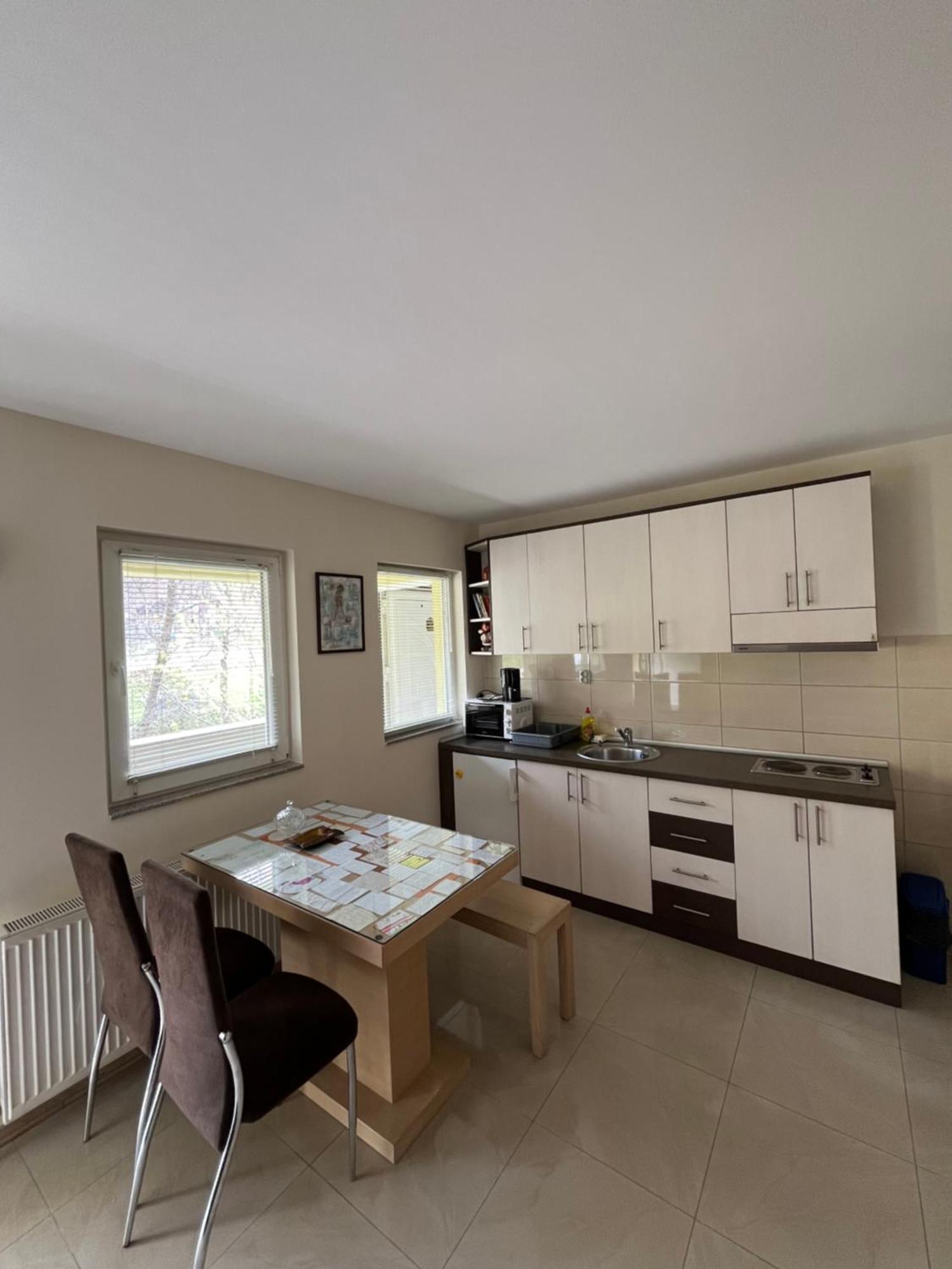 Apartmani Radoicic Josanicka Banja Екстериор снимка