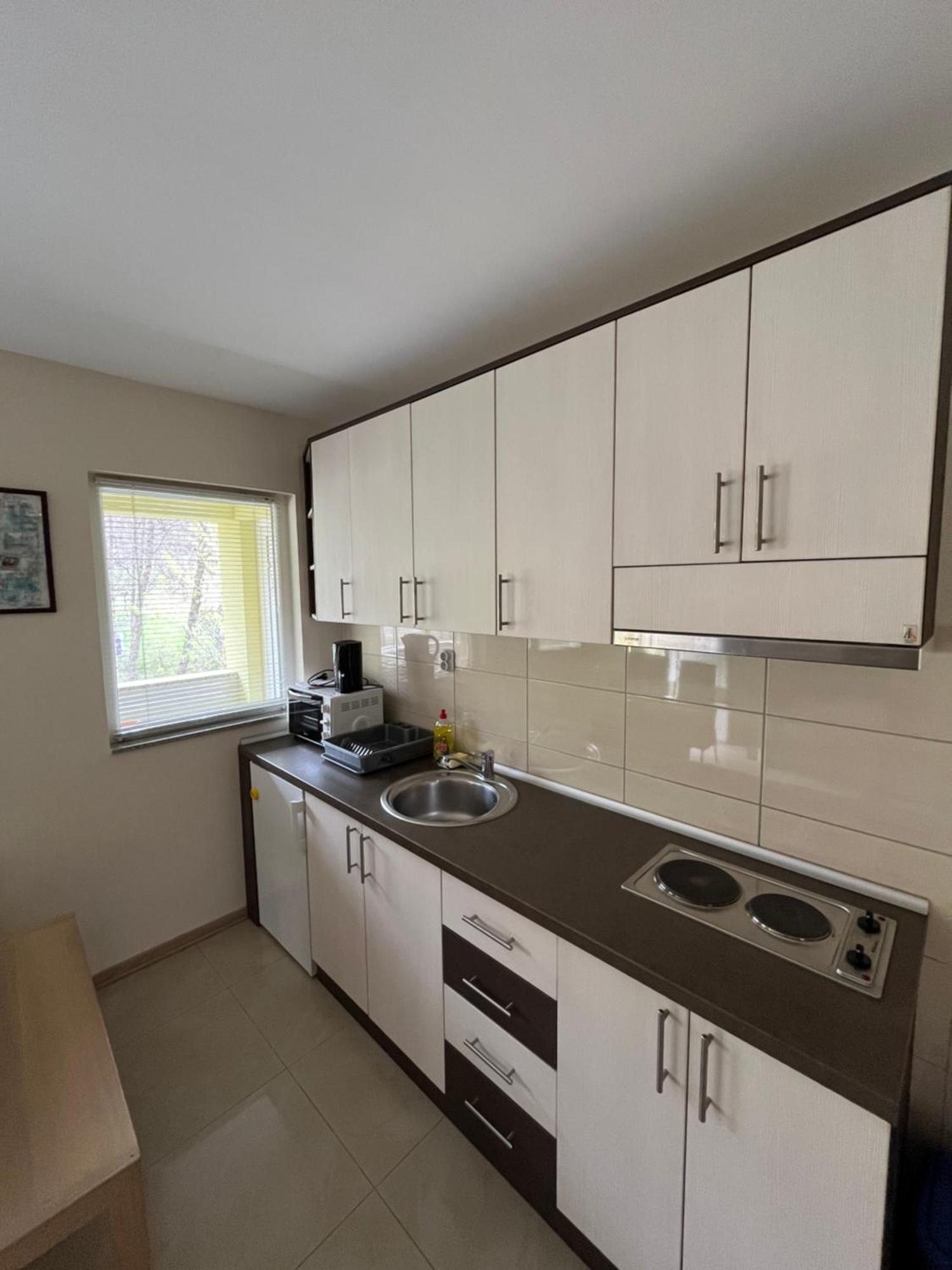 Apartmani Radoicic Josanicka Banja Екстериор снимка